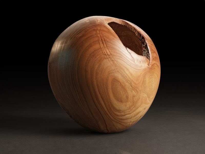 Red Elm Hollow Form